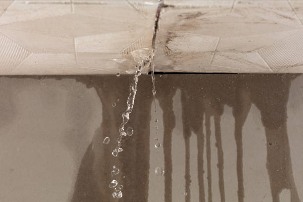 Professional Water Extraction technician working in Piney Woods, MS
